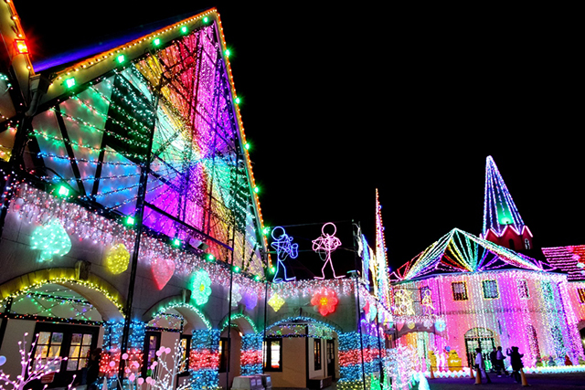 これで8,000円！？ 関東三大イルミネーション「東京ドイツ村」とランチ