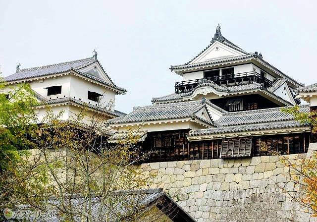 今も残る松山城の天守は日本の城の中でも貴重な財産です.jpg