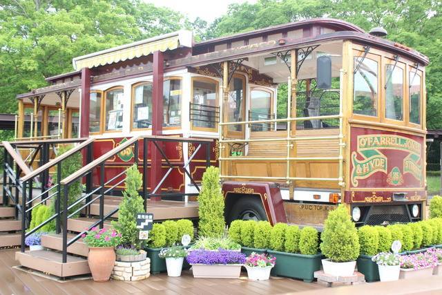 レトロなトロリーバスが彩りを添える