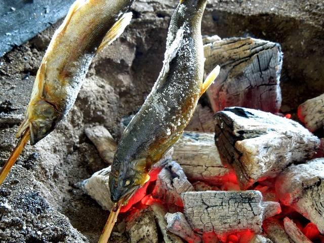 香ばしく柔らかい鮎の塩焼き