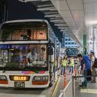 手前がグリーンカー。奥がお世話になったスタンダード。