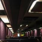 車内の照明が、そこはかとなくムーディー