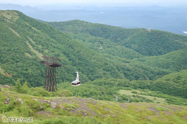 山頂からの景色