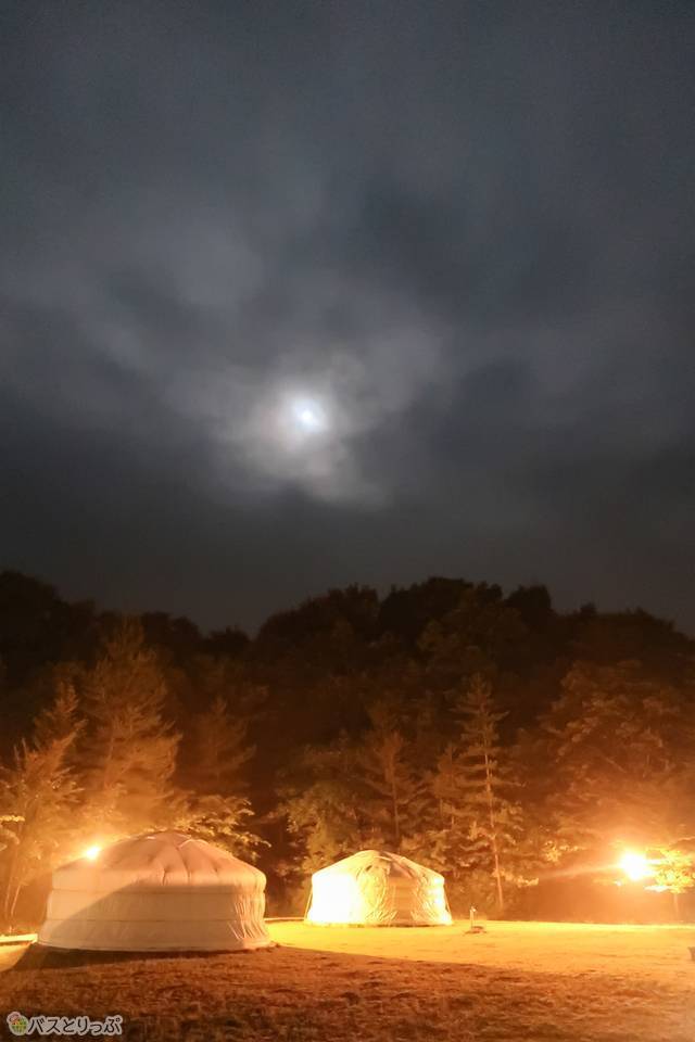 夜中の景色が幻想的でした