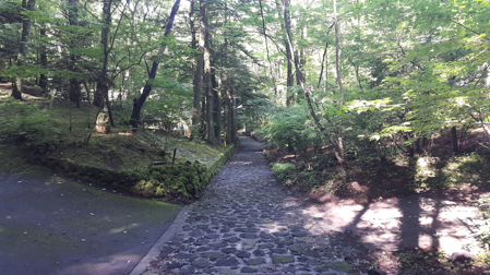 バス旅スポ8月5日