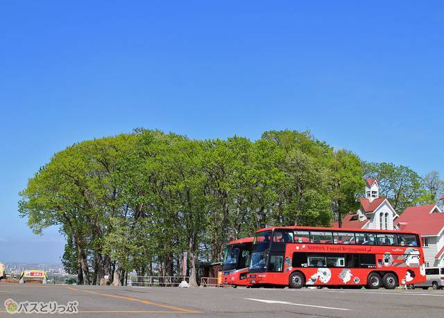 札幌市羊ヶ丘展望台にて（お披露目会参加時に撮影）