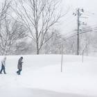 途中で“苦笑いのお父さん”を見送りながら終点の峡雲荘へ