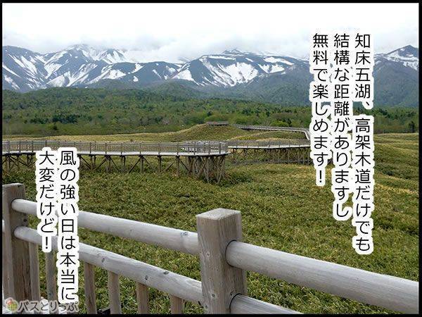 知床五湖、高架木道だけでも結構な距離がありますし無料で楽しめます!風の強い日は本当に大変だけど!
