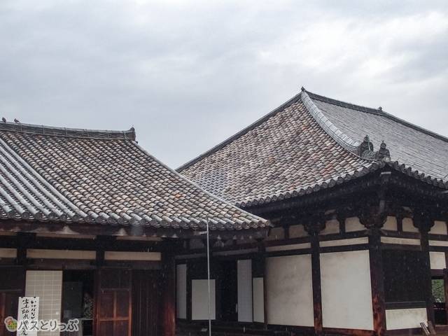 禅堂（左）と極楽堂（右）の屋根の一部には、今なお飛鳥時代の瓦が葺かれている