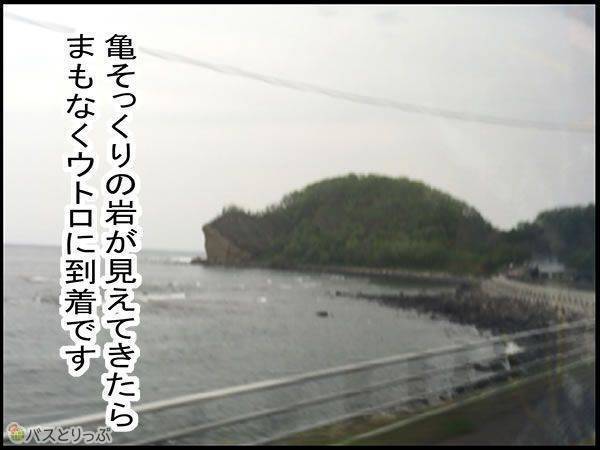 亀そっくりの岩が見えてきたら、まもなくウトロに到着です。