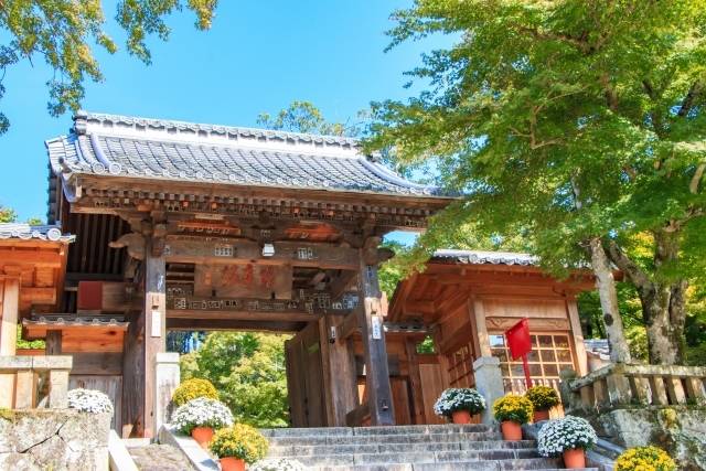 修善寺.jpg