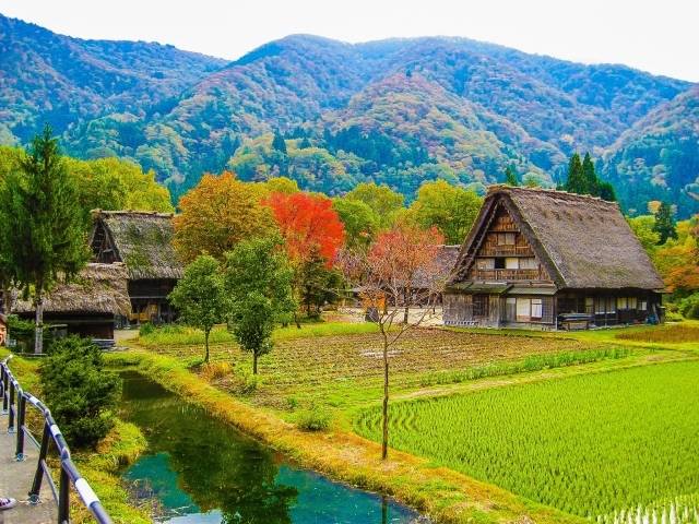 白川郷.jpg