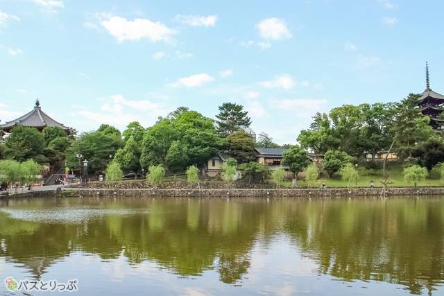 (興福寺＆奈良町)