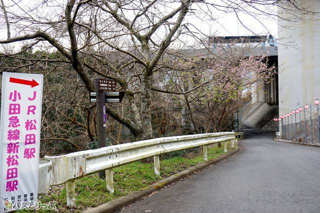 3）真っすぐ歩いてくると右折して下る道が現れます