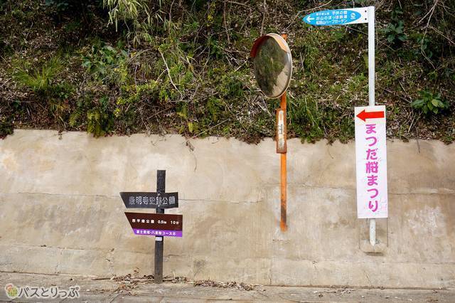 9）上りきったら突き当りで左折