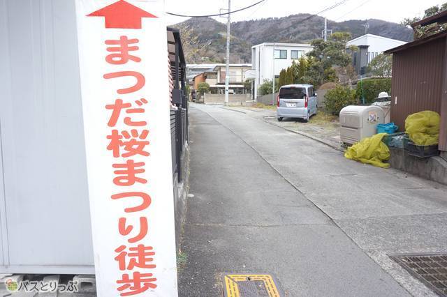 7）100m弱で県道の「松田駅入口」の交差点。横断歩道を渡り、松田駅を背にして山の方へ