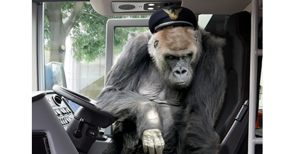 運転席に座らせるだけで自動運転に！ ゴリラ型ドライバーロボ