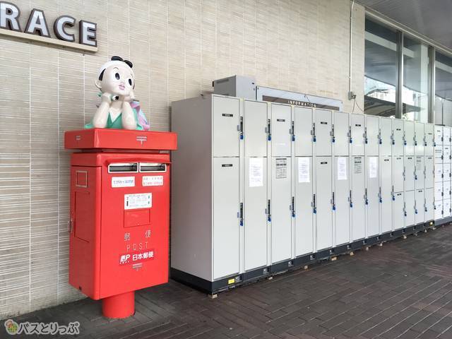 大きい荷物も入るので安心