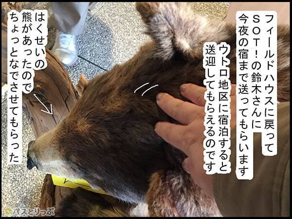 レクチャーハウスに戻ってSOT!の鈴木さんに今夜の宿まで送ってもらいます。ウトロ地区に宿泊すると送迎してもらえるのです。はくせいの熊があったのでちょっとなでさせてもらった。