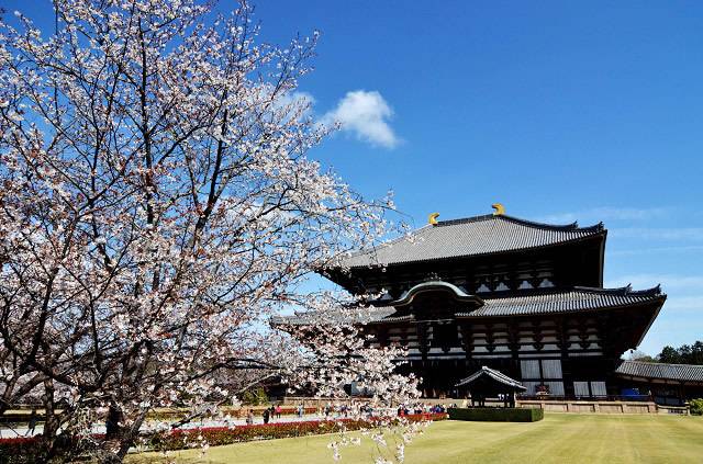 東大寺