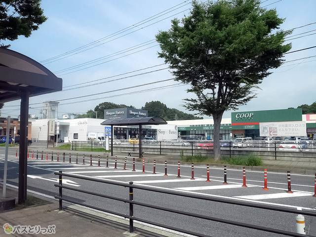 高速バスのりばの目印はCOOP