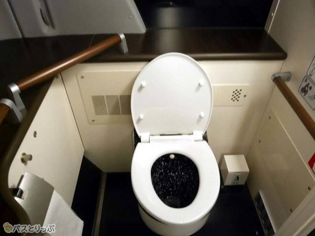 入って右側に広々としたトイレが