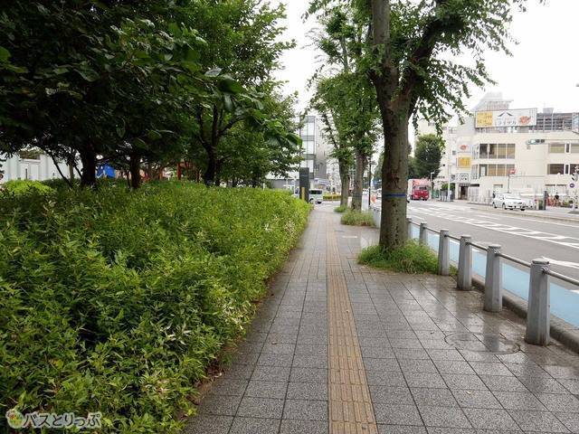 道沿いにまっすぐ進む