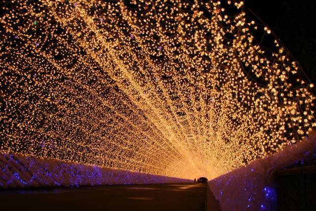 なばなの里イルミネーション