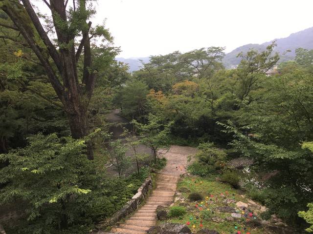 山頂からの景色