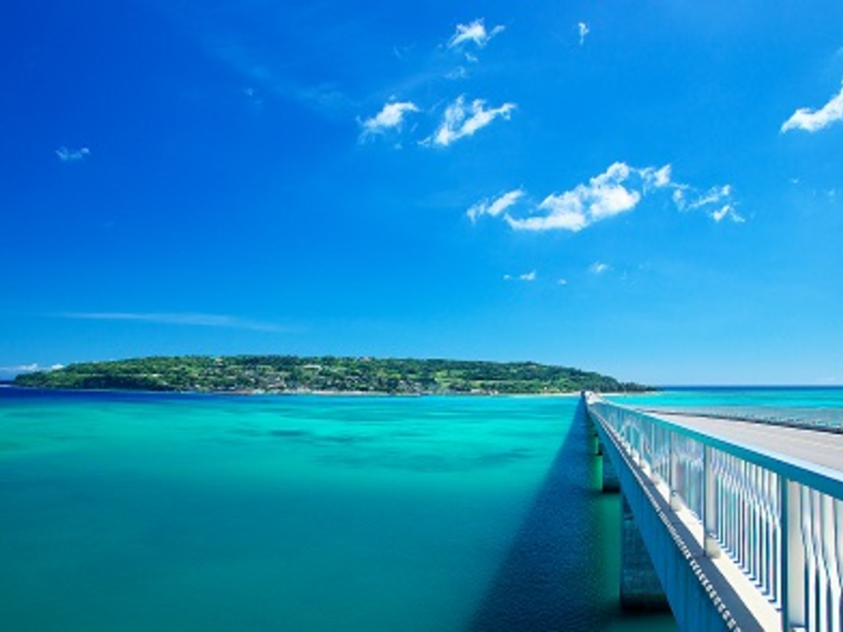 車なしでも楽しめる？ 古宇利島・美ら海水族館・万座毛が1日で巡れる