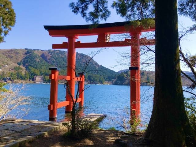 箱根神社.jpg