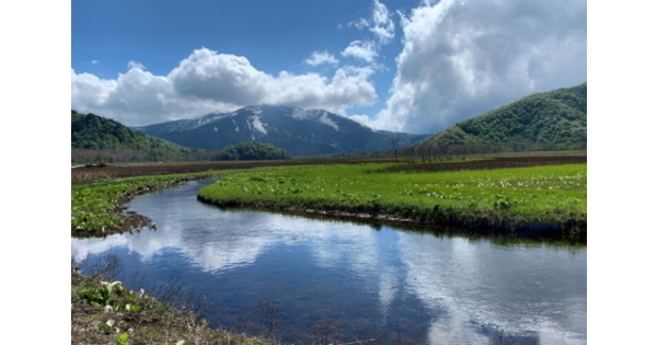 twitter.jpg?1625200743