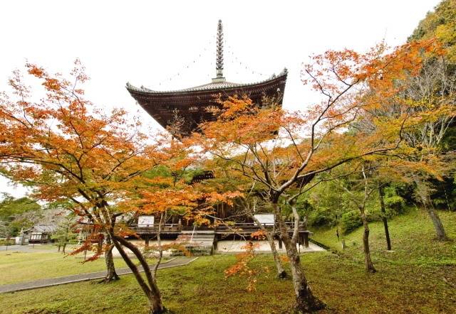 根来寺・紅葉