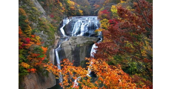 1位は 関東の紅葉名所 24選 見頃時期や紅葉狩りバスツアーを紹介 バスとりっぷ記事ランキング 8 26 9 8 高速バス 夜行バス バスツアーの旅行 観光メディア バスとりっぷ