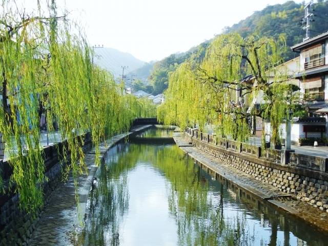 城崎温泉柳.jpg