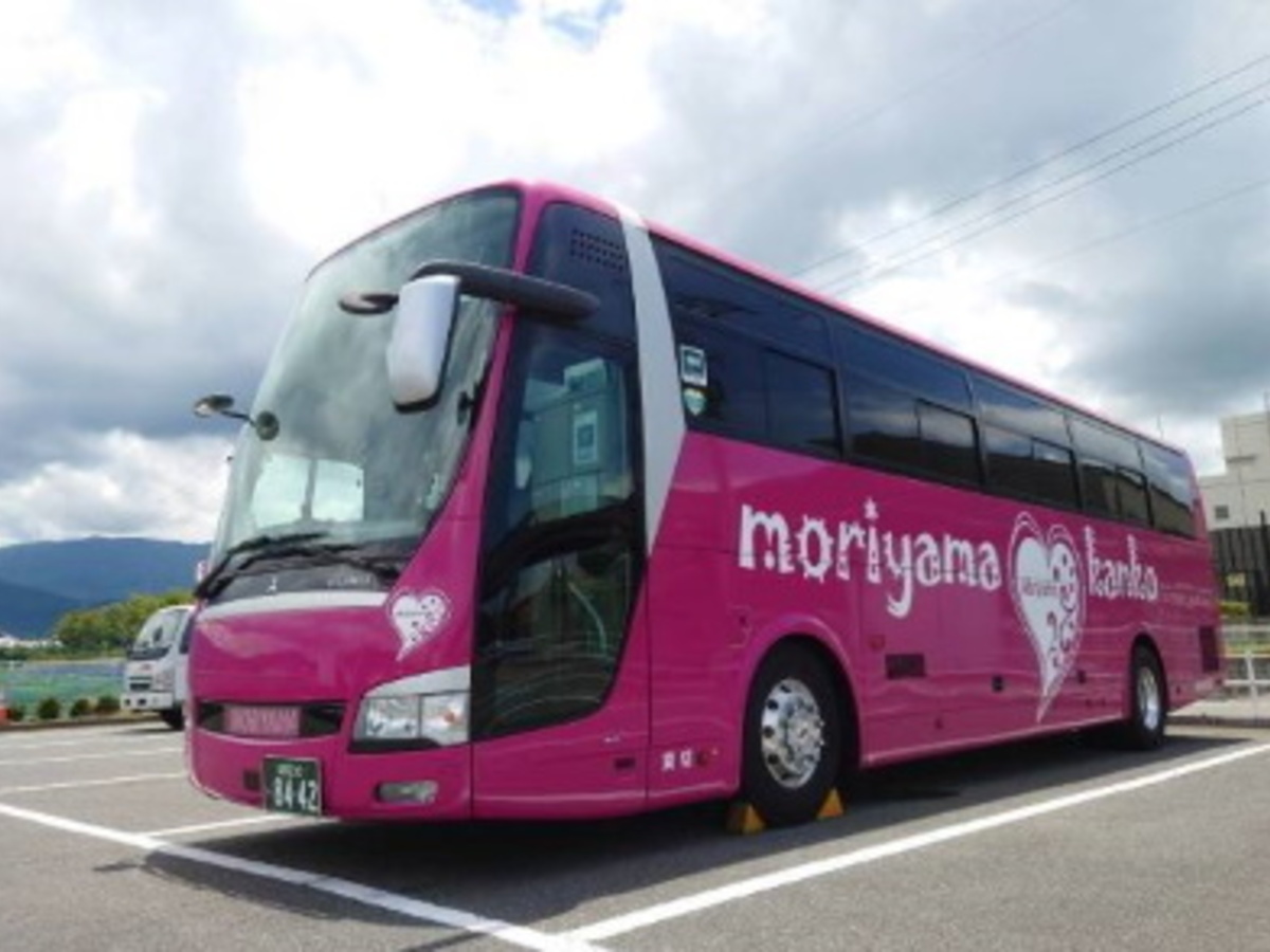 マリンバ 合奏用 バス ザ・バスコレクション バスコレで行こう23 奈良交通八木新宮特急バス