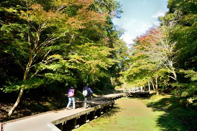清水渓流広場遊歩道