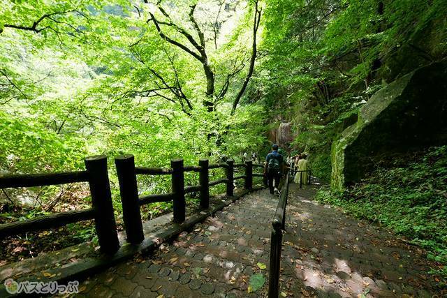 180段は多いけれど一段が広いので下りやすい階段
