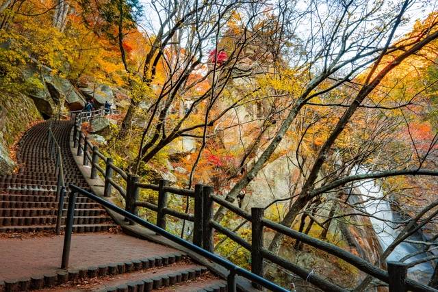 紅葉シーズンの遊歩道