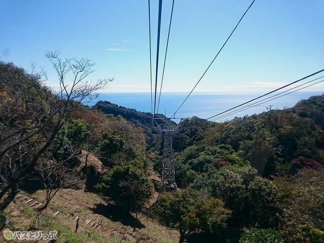 ロープウェイからの眺め