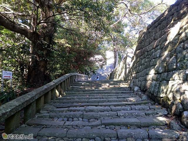 御社殿まで約1,159段