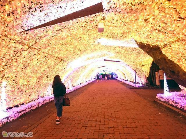 キラメキ銀河通り