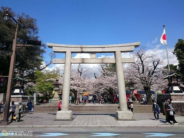 入口の鳥居
