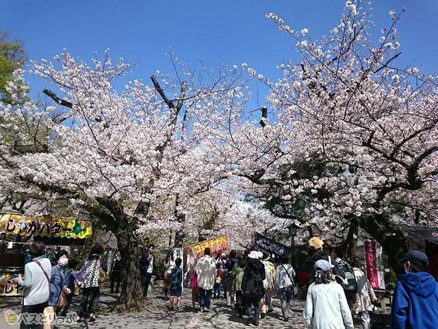 屋台が拡がっています