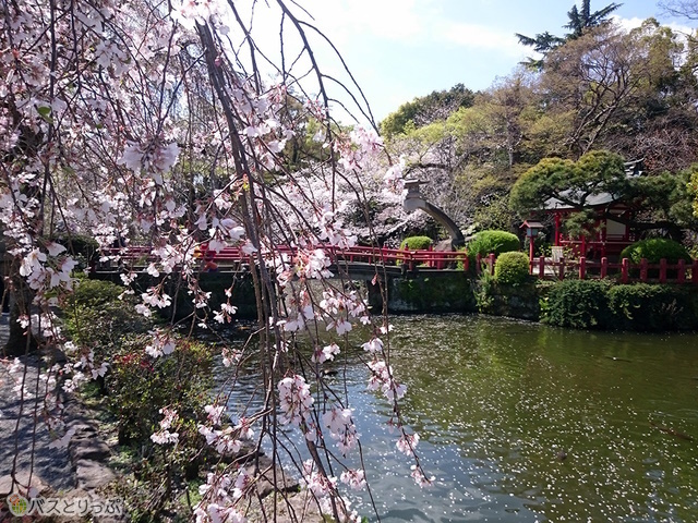 和の情緒があります
