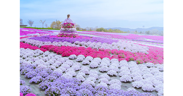 twitter.jpg?1681895796