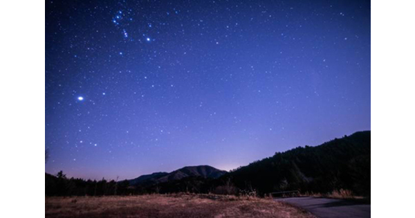 twitter.jpg?1683856780