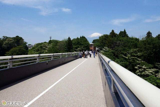 夢の大橋