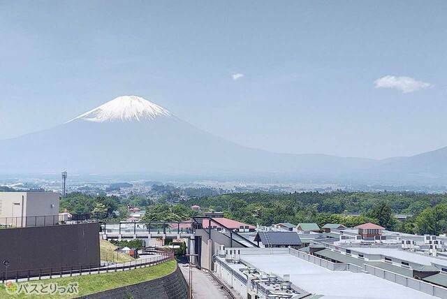 東京ドーム約9個分