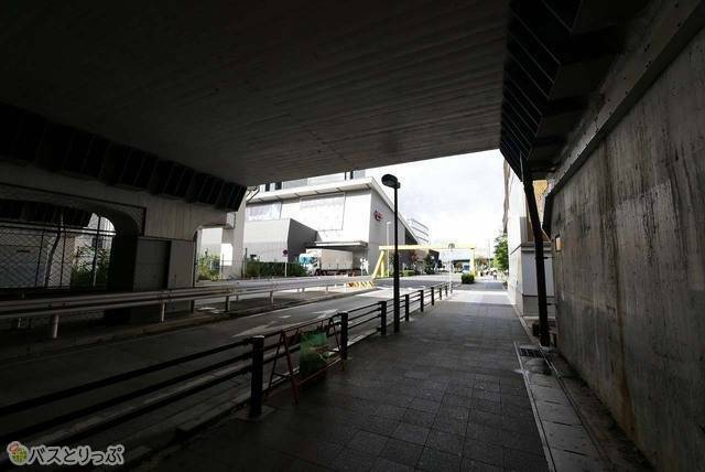 Zepp Nagoyaが左手に見えてきます